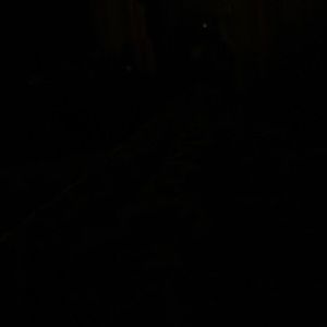 Meet your Posher, Celia